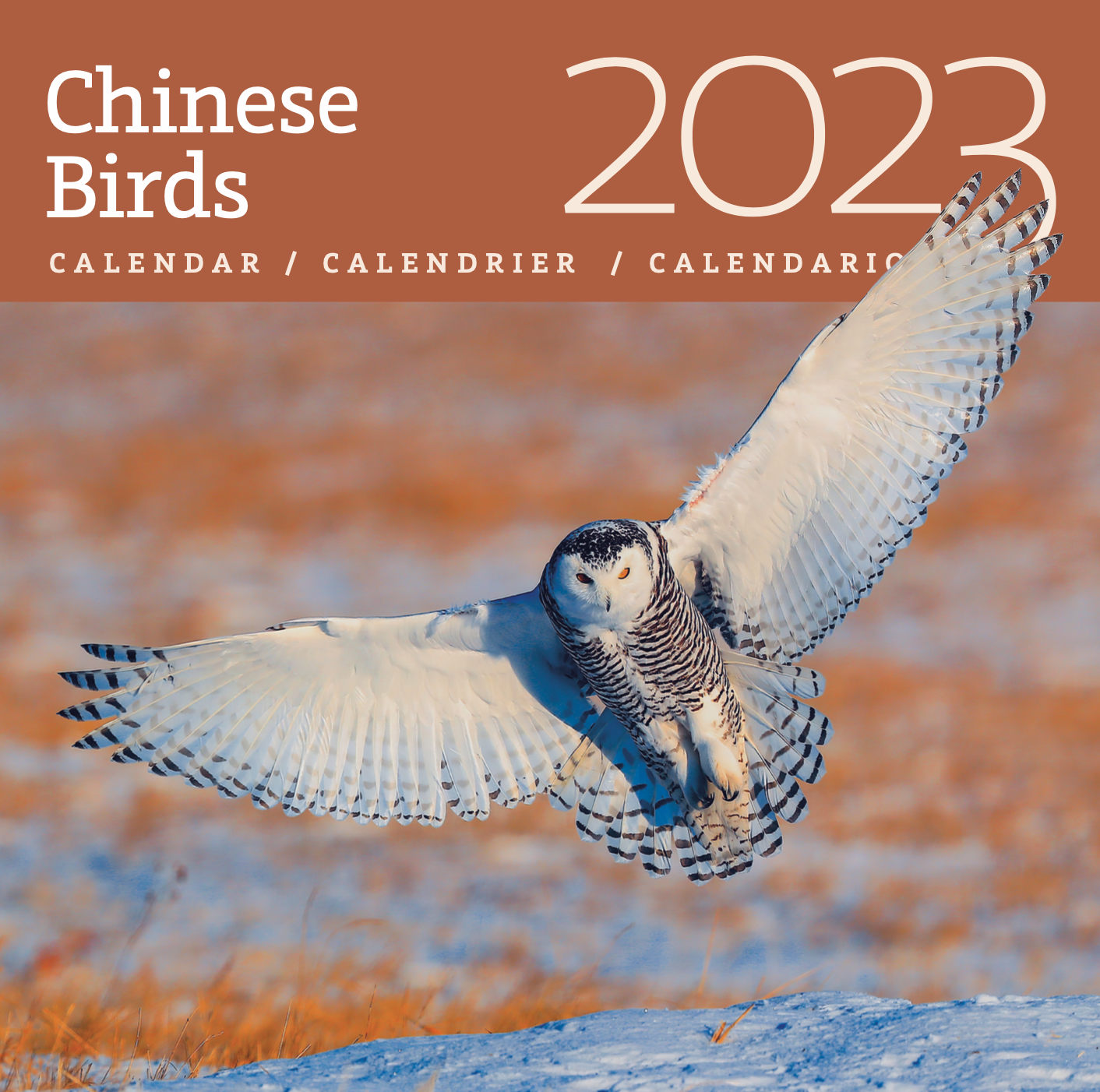 Birds of China 2023 Wall Calendar
